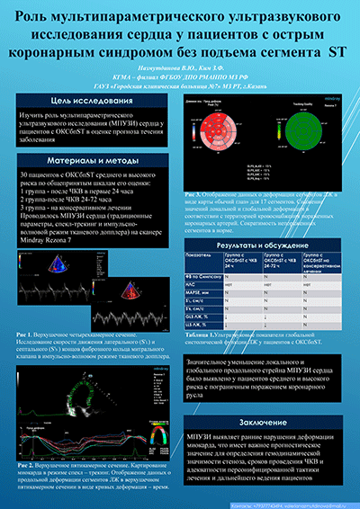 Роль мультипараметрического ультразвукового исследования сердца у пациентов с острым коронарным синдромом без подъема сегмента ST