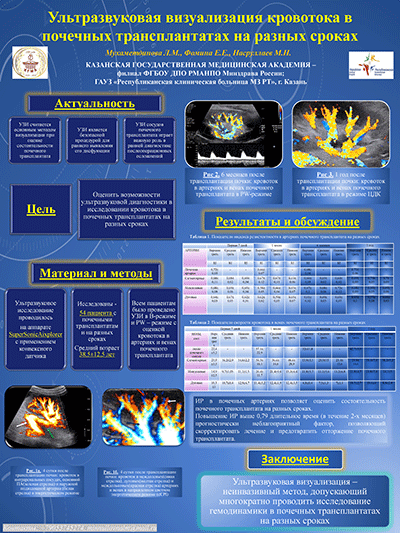 Ультразвуковая визуализация кровотока в почечных трансплантатах на разных сроках