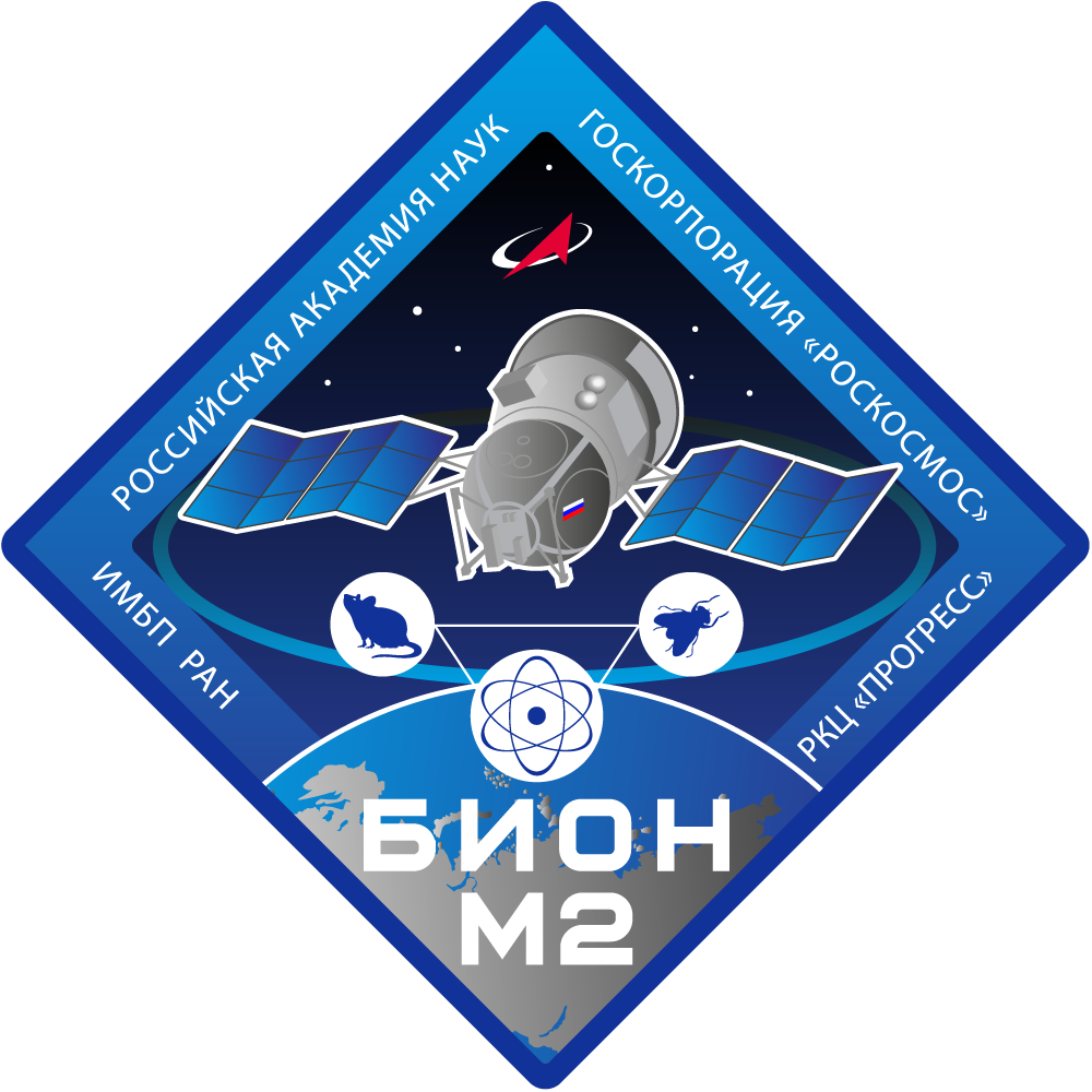 The BION-M2 Project. Final results and role in safe interplanetary spaceflights